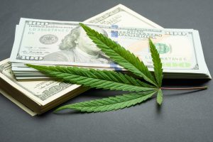 Cannabis Business Ideas