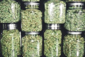 How to Start a Marijuana Dispensary